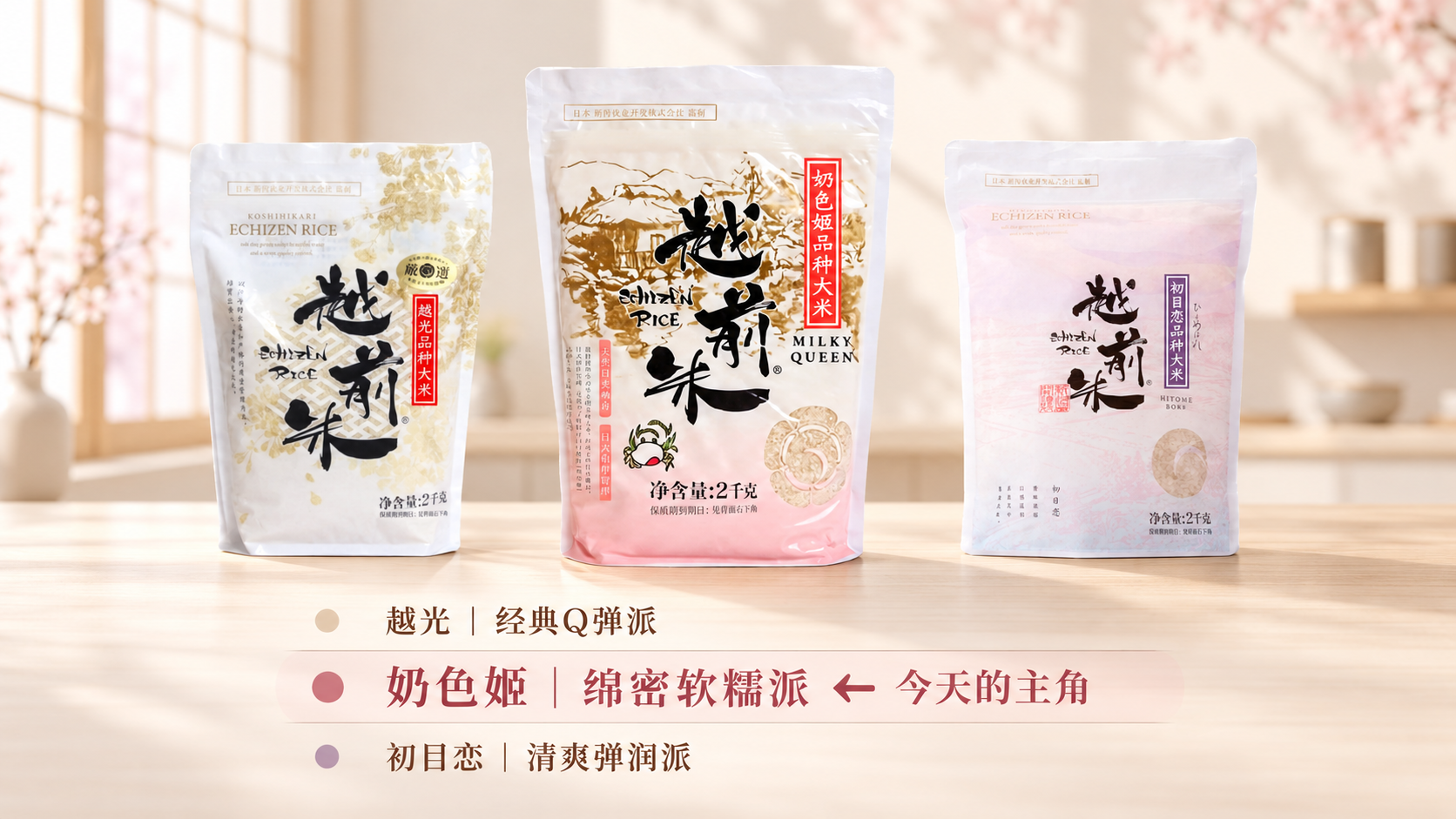 越前奶色姬