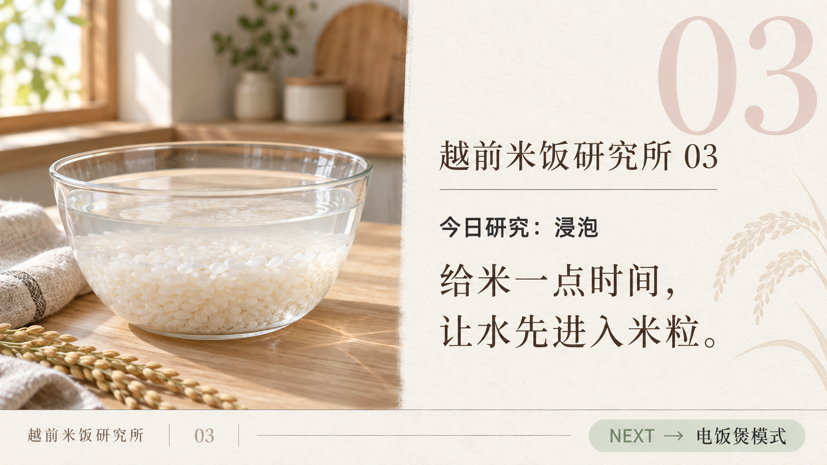 越前米日记插图